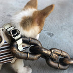 Pawaroo Oversized Chain-Style Dog Walking Accessory | 1.5 m or 3 m
