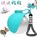 Pawaroo 2-in-1 Foldable Dog Water Bottle & Travel Bowl | 285 mL