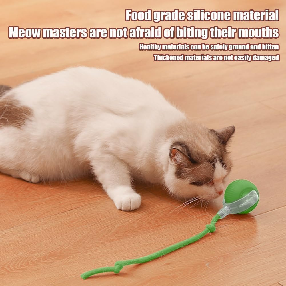 Pawaroo Automatic 360° Rolling Ball Toy for Indoor Dogs & Cats