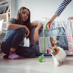 Pawaroo Automatic 360° Rolling Ball Toy for Indoor Dogs & Cats