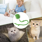 Pawaroo Automatic 360° Rolling Ball Toy for Indoor Dogs & Cats