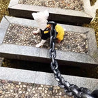 Pawaroo Oversized Chain-Style Dog Walking Accessory | 1.5 m or 3 m