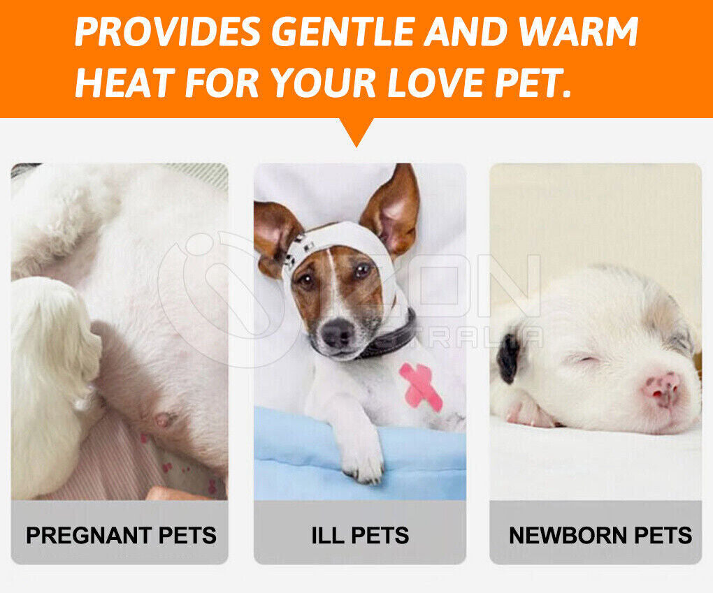 Pawaroo Electric Pet Heating Pad | 2 Heat Settings, Water-Resistant Mat with AU Plug