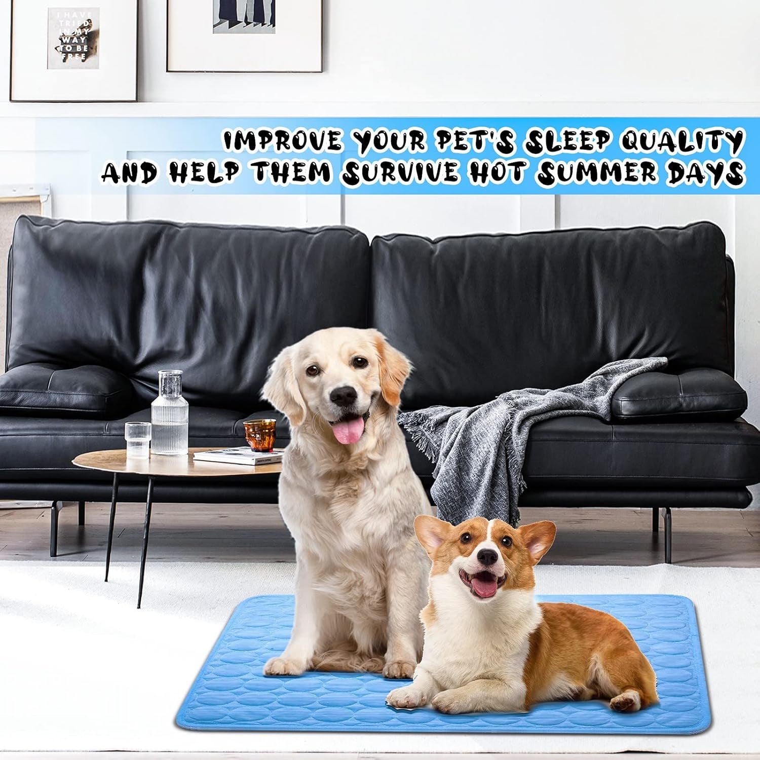 Pawaroo Cooling Mat for Dogs & Cats | 70 × 55 cm Washable Pet Chill Mat – Blue